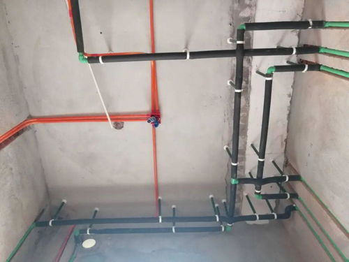 東湖華庭 今年首班發車,不要錯過喲